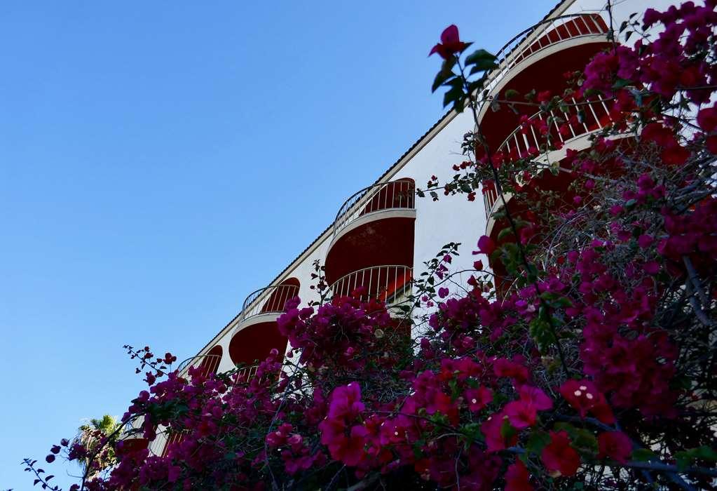 Golden Sails Hotel 长滩 设施 照片